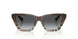 4202T3 - Brown - Gradient Grey Polar