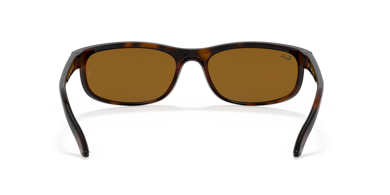 650833 - Havana - B-15 Brown