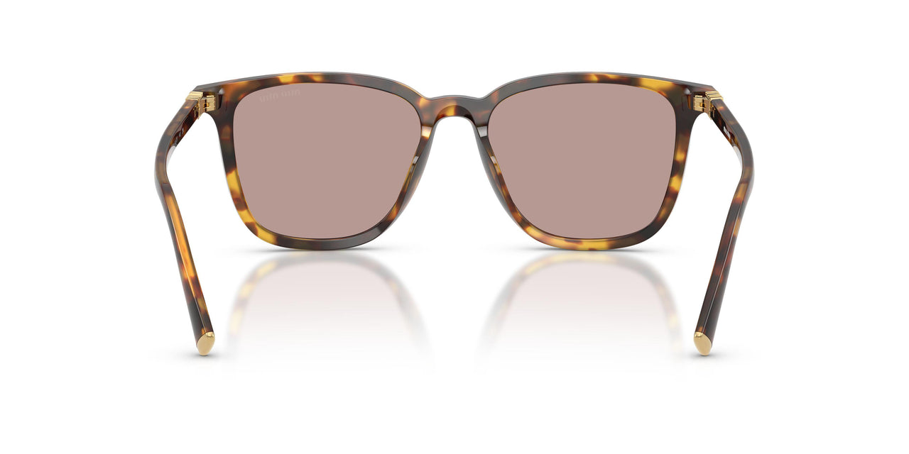 14L20I - Tortoise - Light Purple Brown
