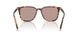 14L20I - Tortoise - Light Purple Brown
