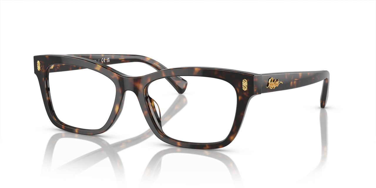 5003 - Brown