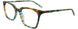 60 - Teal & Brown