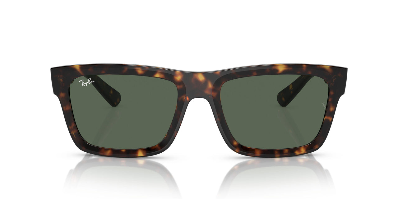 135971 - Tortoise - Dark Blue