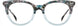 STATE Optical Co. THALIA Eyeglasses