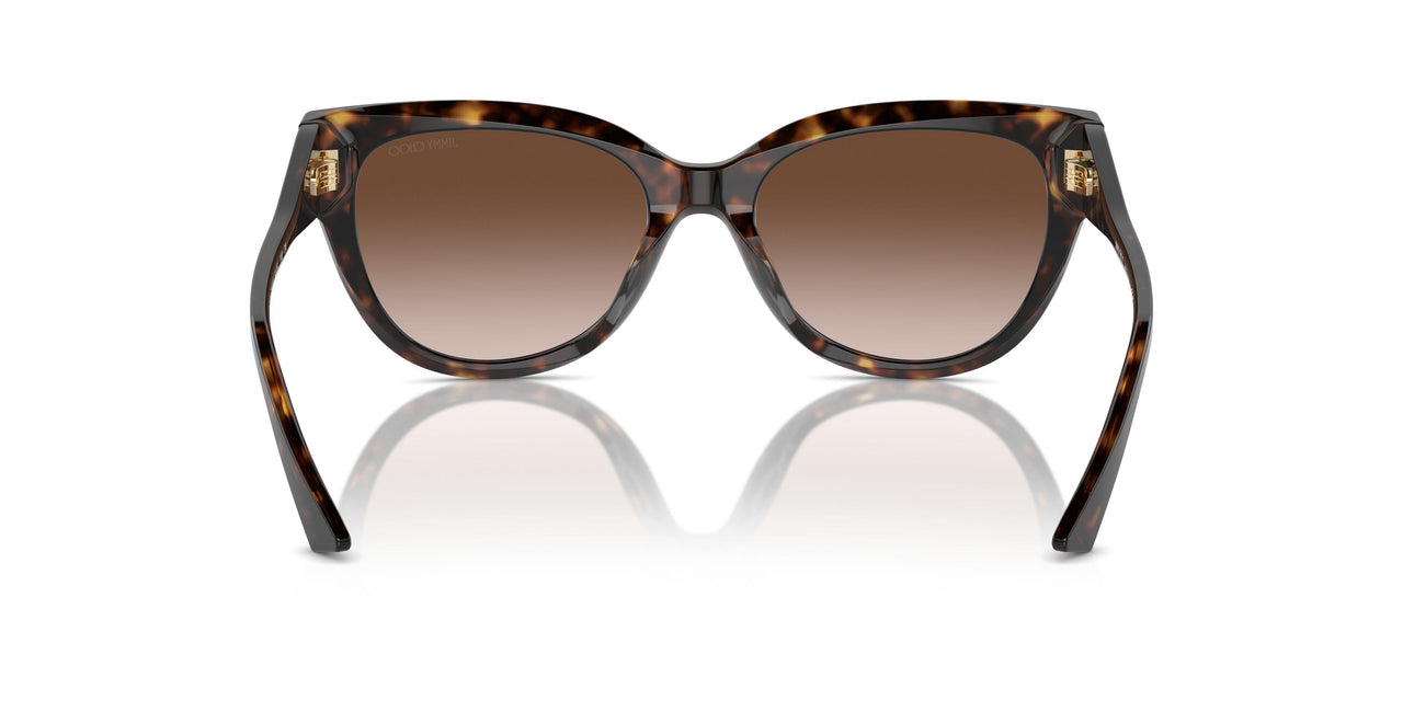 500213 - Tortoise - Gradient Brown