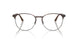 3172 - Tortoise - Clear