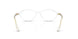 8543 - Transparent - Demo Bio