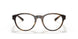 5003 - Tortoise