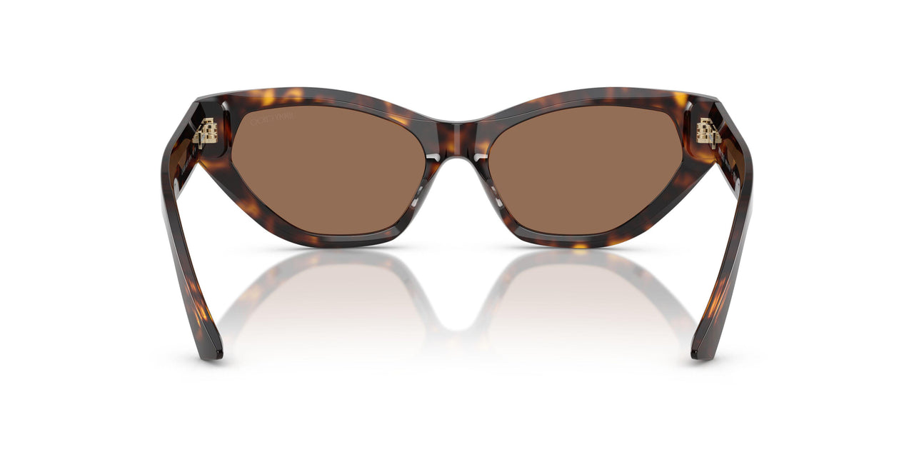 500273 - Tortoise - Dark Brown