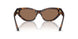 500273 - Tortoise - Dark Brown