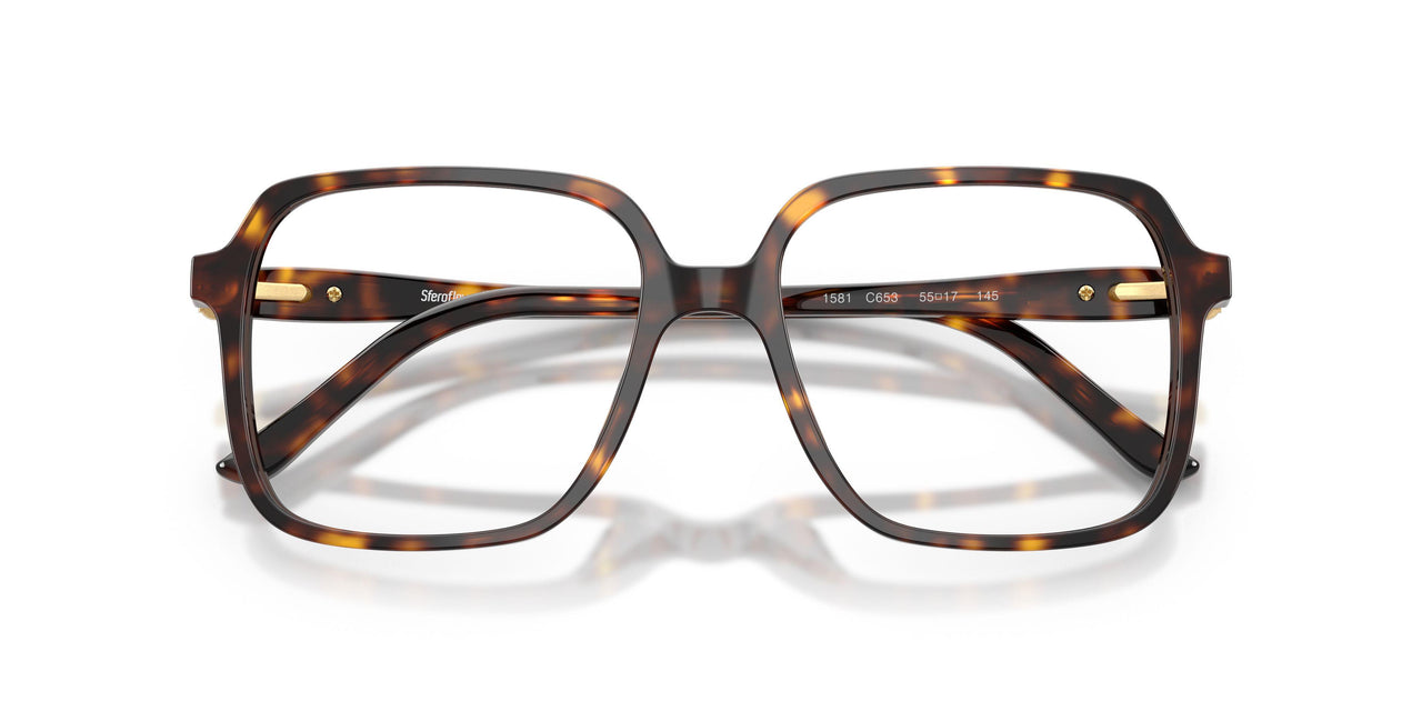 C653 - Tortoise