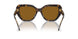 172883 - Tortoise - Solid Dark Brown Polar