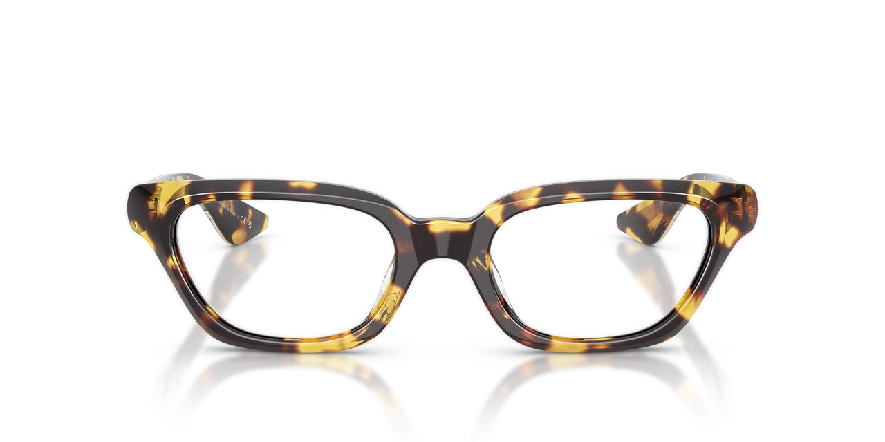 1654SB - Tortoise - Clear Blue-violet Light Filter