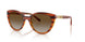 1508T5 - Brown - Grey Gradient Brown Polar