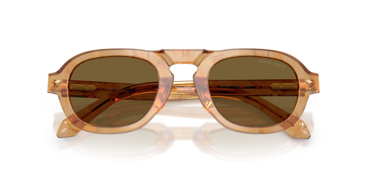 630073 - Tortoise - Dark Brown