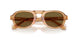 630073 - Tortoise - Dark Brown