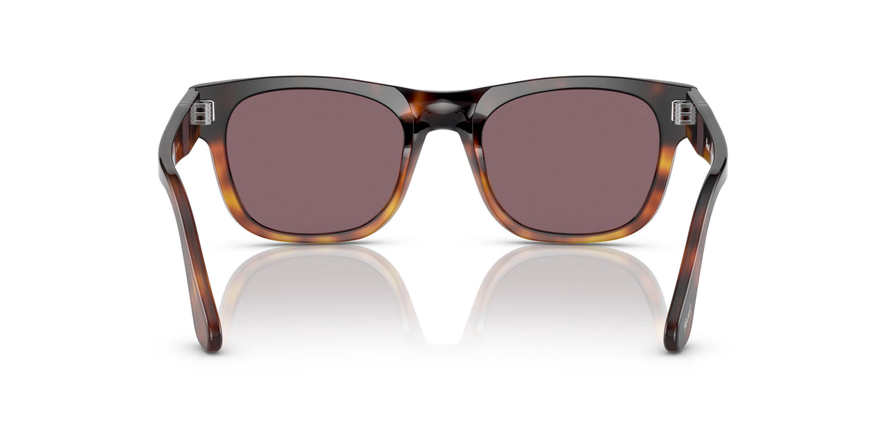 1160AF - Havana - Dark Violet Polar