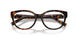 8015 - Tortoise