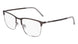 Flexon E1148 N Eyeglasses