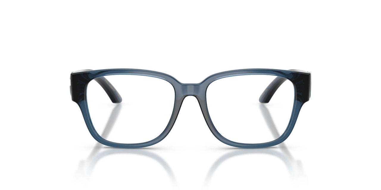 3009 - Blue