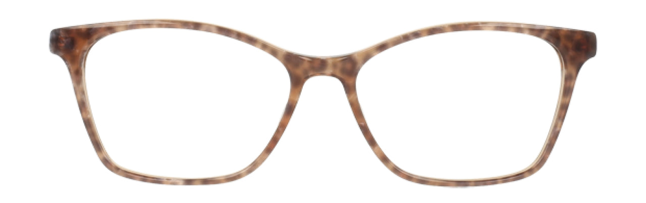BRCH - Brown Cheetah