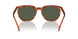 577482 - Tortoise - Green
