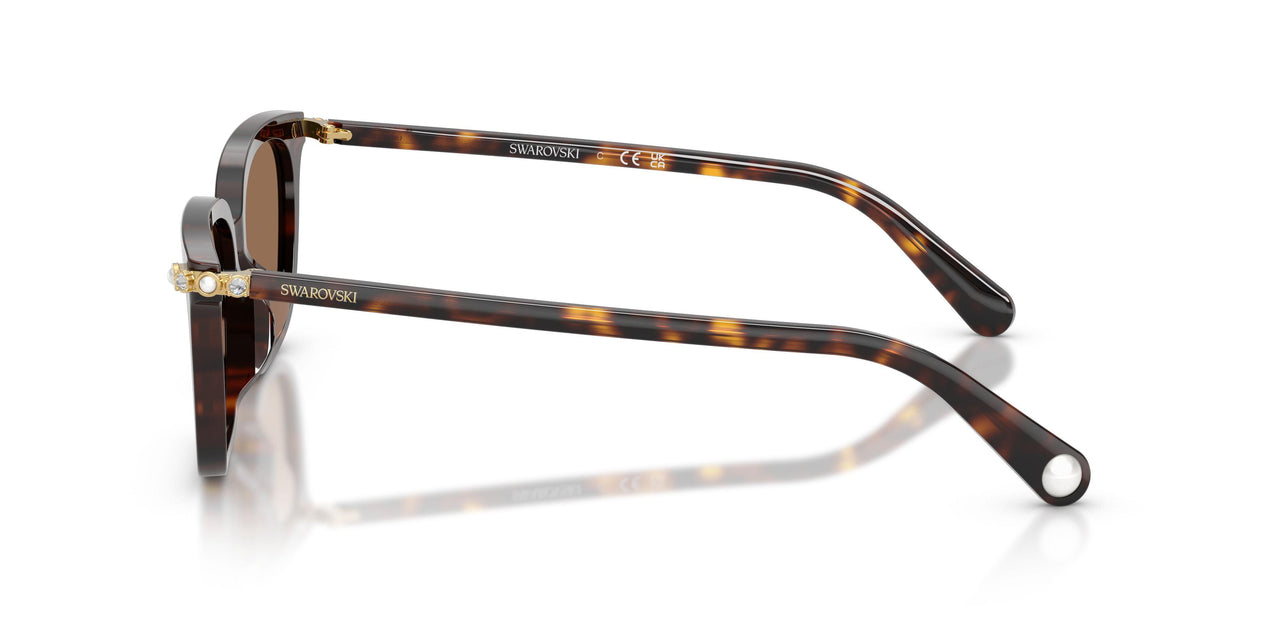 100273 - Tortoise - Dark Brown