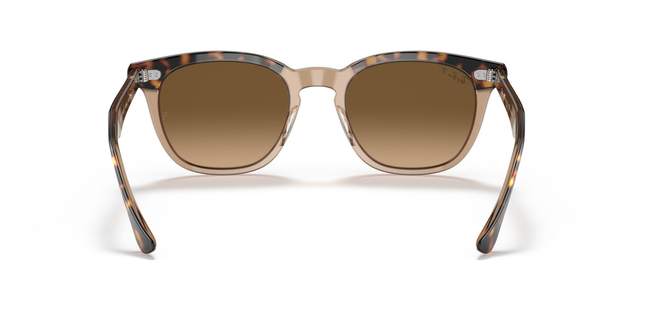 1292M2 - Havana - Brown Gradient Polar