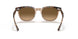 1292M2 - Havana - Brown Gradient Polar