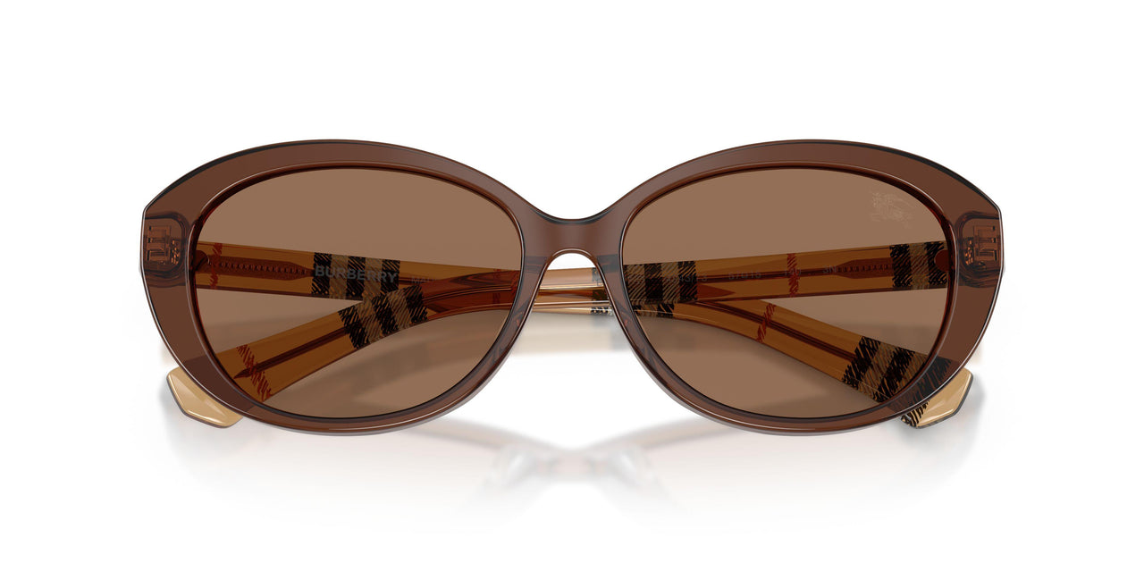 424373 - Brown - Dark Brown