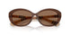 424373 - Brown - Dark Brown