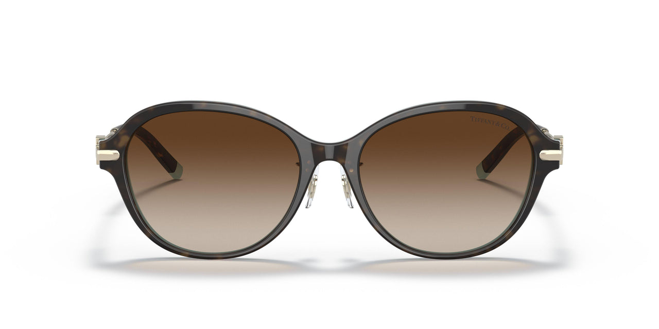 81343B - Havana - Brown Gradient