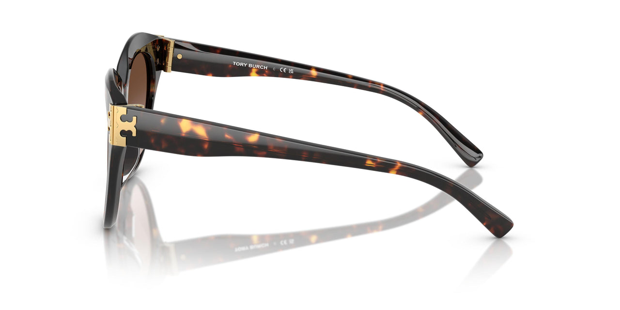 201613 - Tortoise - Brown Gradient
