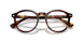 613771 - Tortoise - Bottle Green