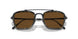 801557 - Black - Brown Polar