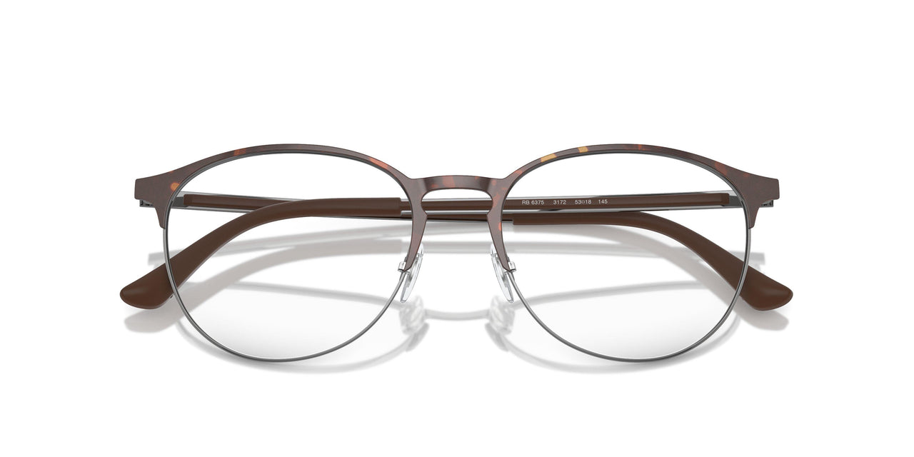 3172 - Tortoise - Clear