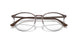3172 - Tortoise - Clear
