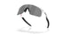 901039 - White - Prizm Black