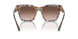 321773 - Tortoise - Brown Gradient