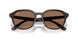 623173 - Brown - Dark Brown