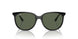 601/71 - Black - Dark Green
