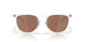 928609 - Transparent - Prizm Tungsten Polarized