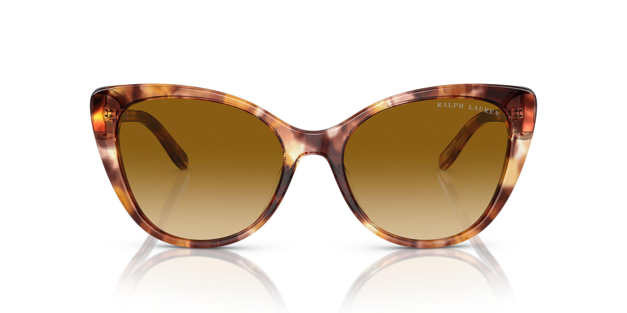 60932L - Tortoise - Gradient Yellow
