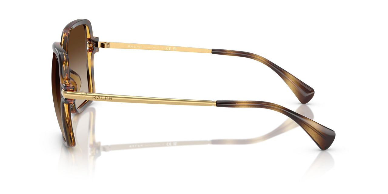 500313 - Tortoise - Gradient Brown