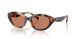 206673 - Multicolor - Amber