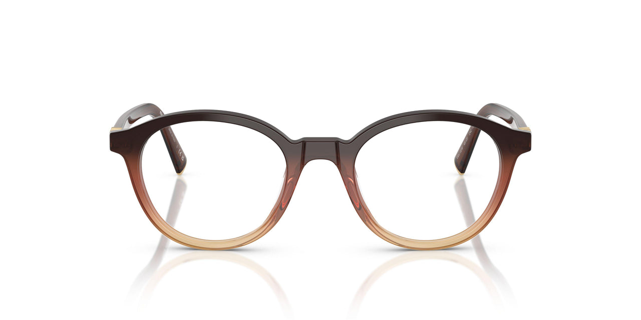 24C1O1 - Brown