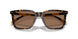 500373 - Tortoise - Dark Brown
