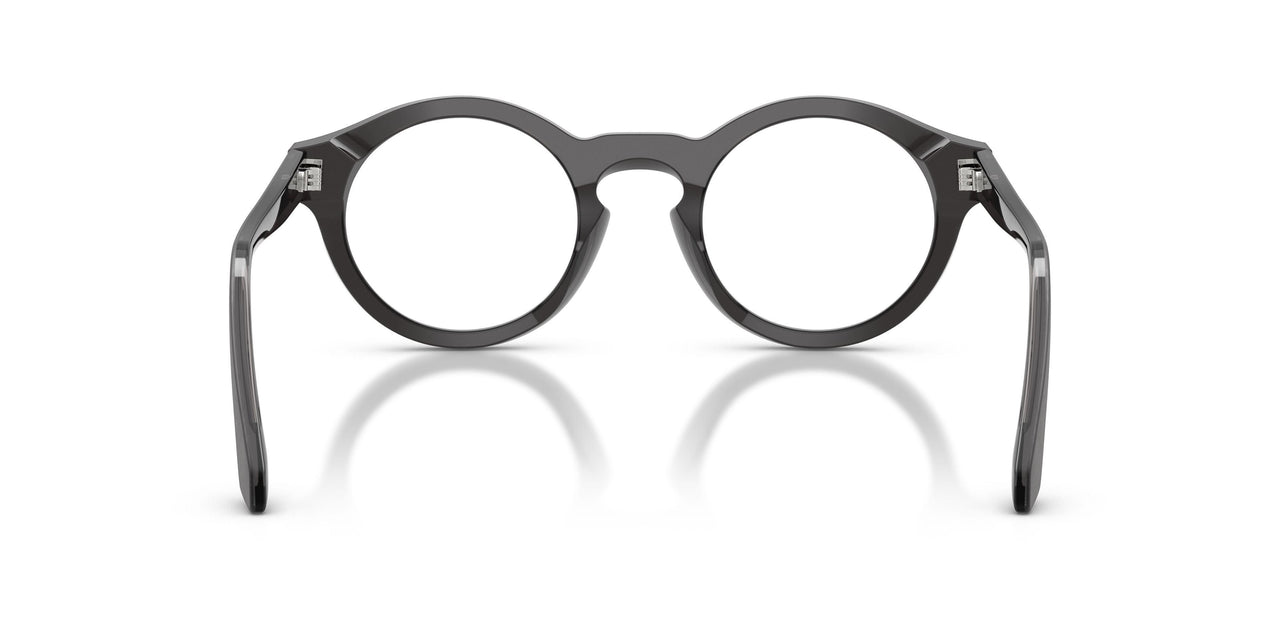 6395 - Tortoise