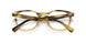 1703 - Brown