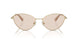4013M4 - Gold - Brown Photo